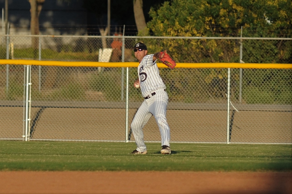 Seals_2019-09-19 (268).JPG - (c)2010 DeVetter